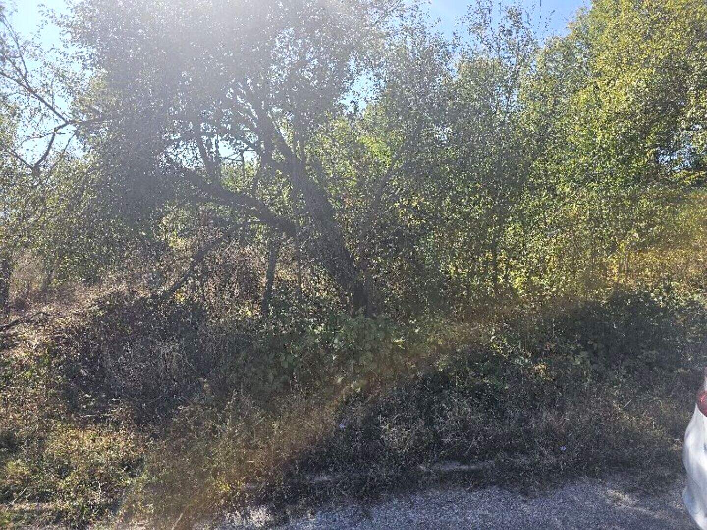 Agricultural land in Skravena, Sofiyska – photo 2