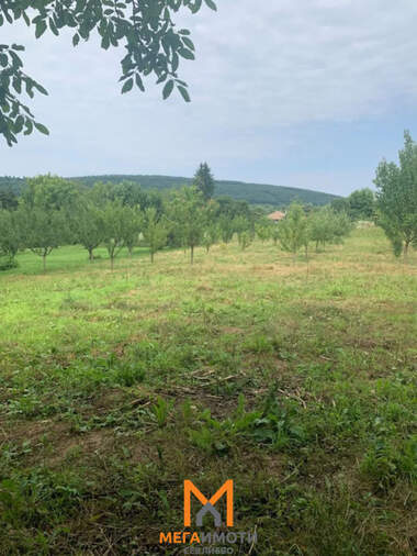 Verkauf - Baugrundstück in Petko Slaweykow,  Gabrowo