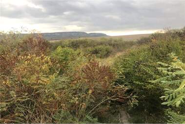 For sale - Building in Pazara,  Shumen