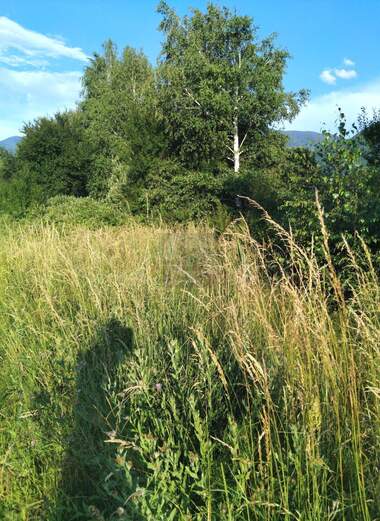 For sale - Agricultural land in Balanovo,  Kiustendil