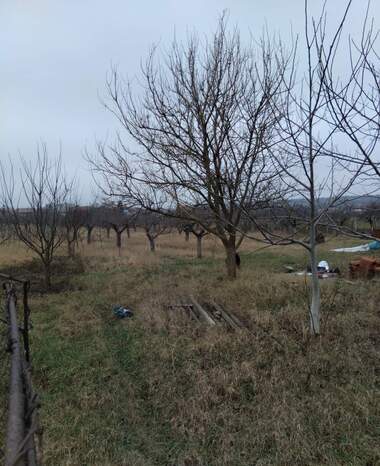 For sale - For Construction in Samoranovo,  Kiustendil