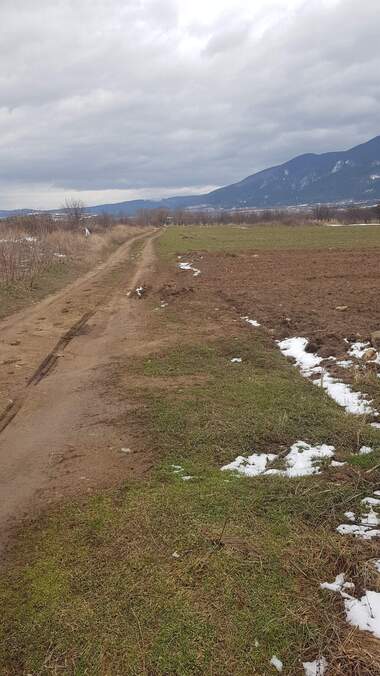 Verkauf - Baugrundstück in Dupniza,  Küstendil