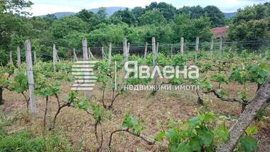 For sale - House in Izgrev,  Burgas