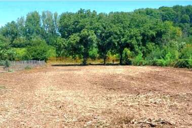 For sale - For Construction in Riahovo,  Ruse