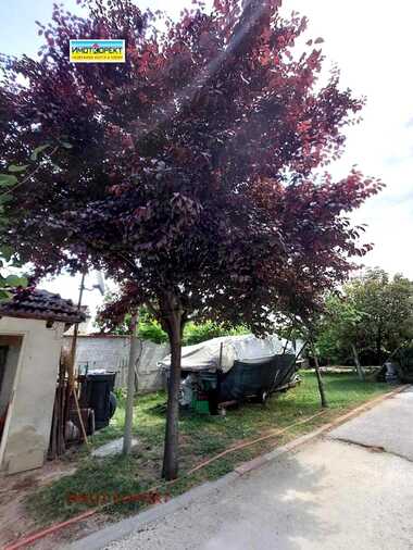 For sale - House in Zvanichevo,  Pazardjik