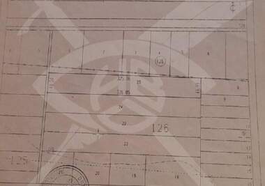 For sale - Agricultural land in Calapica,  Plovdiv