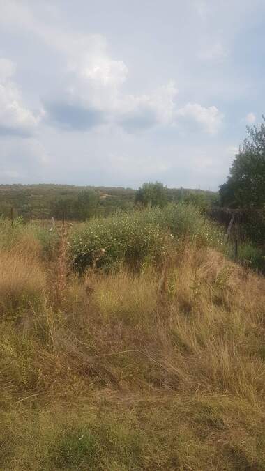 For sale - For Construction in Kocherinovo,  Kiustendil