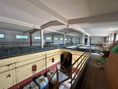 Продажба - Промишлено помещение в Две Могили,  Русе