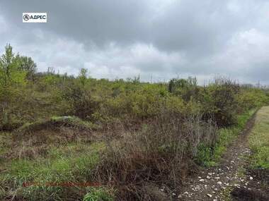 Satış - İnşaat arsası olarak 9-ti kvartal,  Pleven