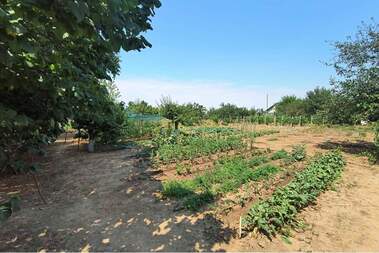 Satış - Ev olarak Tutrakan,  Silistra