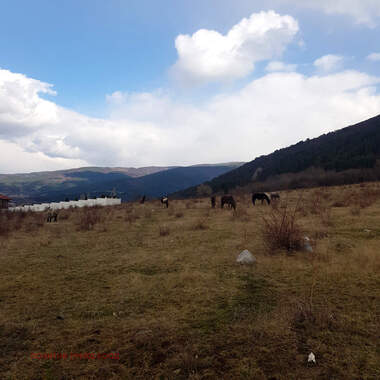 Verkauf - Baugrundstück in Saparewa Bania,  Küstendil