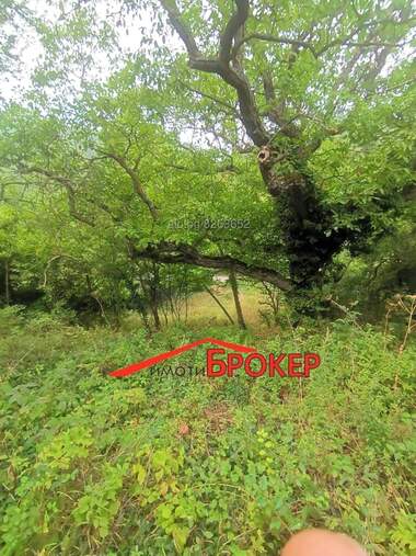 Satış - Bütün bir bina olarak Vilna zona,  Sliven