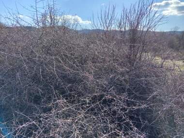 Satış - Tarım arsası olarak Sestrinsko,  Karcali