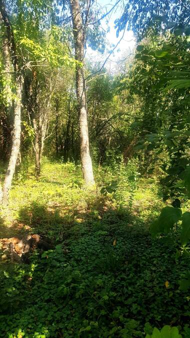 For sale - For Construction in Radlovci,  Kiustendil