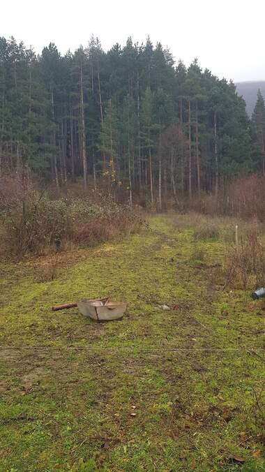 For sale - For Construction in Sapareva Bania,  Kiustendil