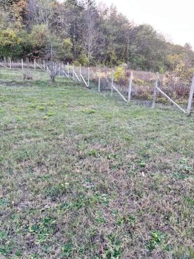 For sale - Agricultural land in Pchelishte,  Veliko Tyrnovo