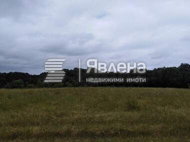Verkauf - Landwirtschaftlich Grundstück in Warwara,  Burgas