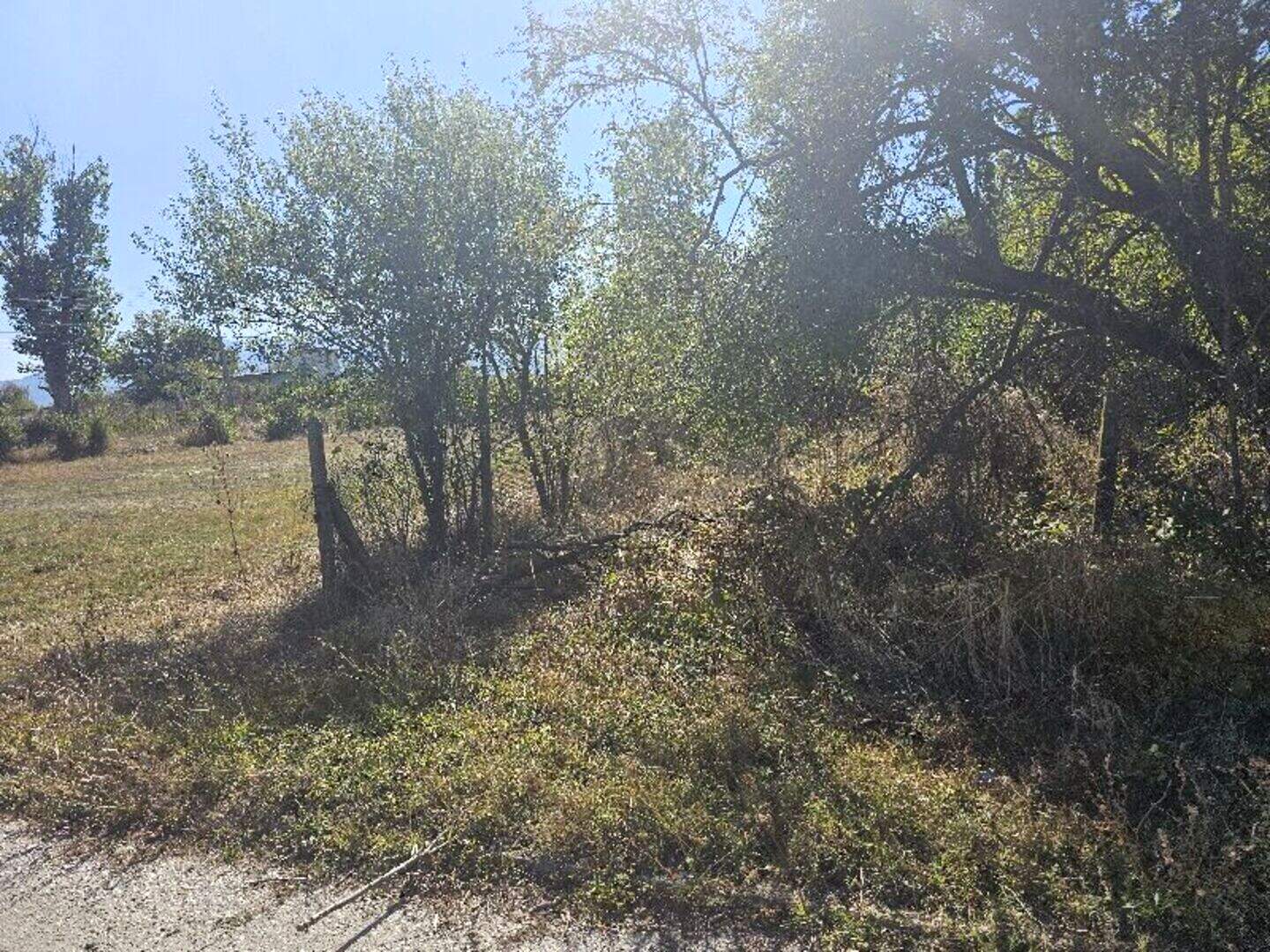 Agricultural land in Skravena, Sofiyska – photo 3