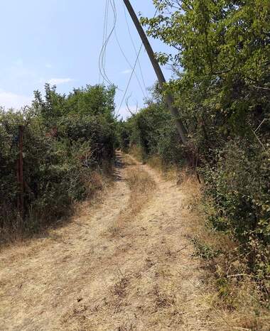For sale - Orchard in Dupnica,  Kiustendil