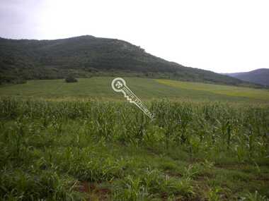 For sale - For Construction in Gorsko Kosovo,  Veliko Tyrnovo