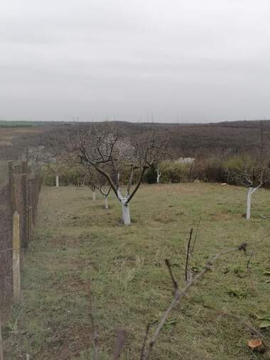 Vânzare - Teren de construcții în Nikolovo,  Ruse