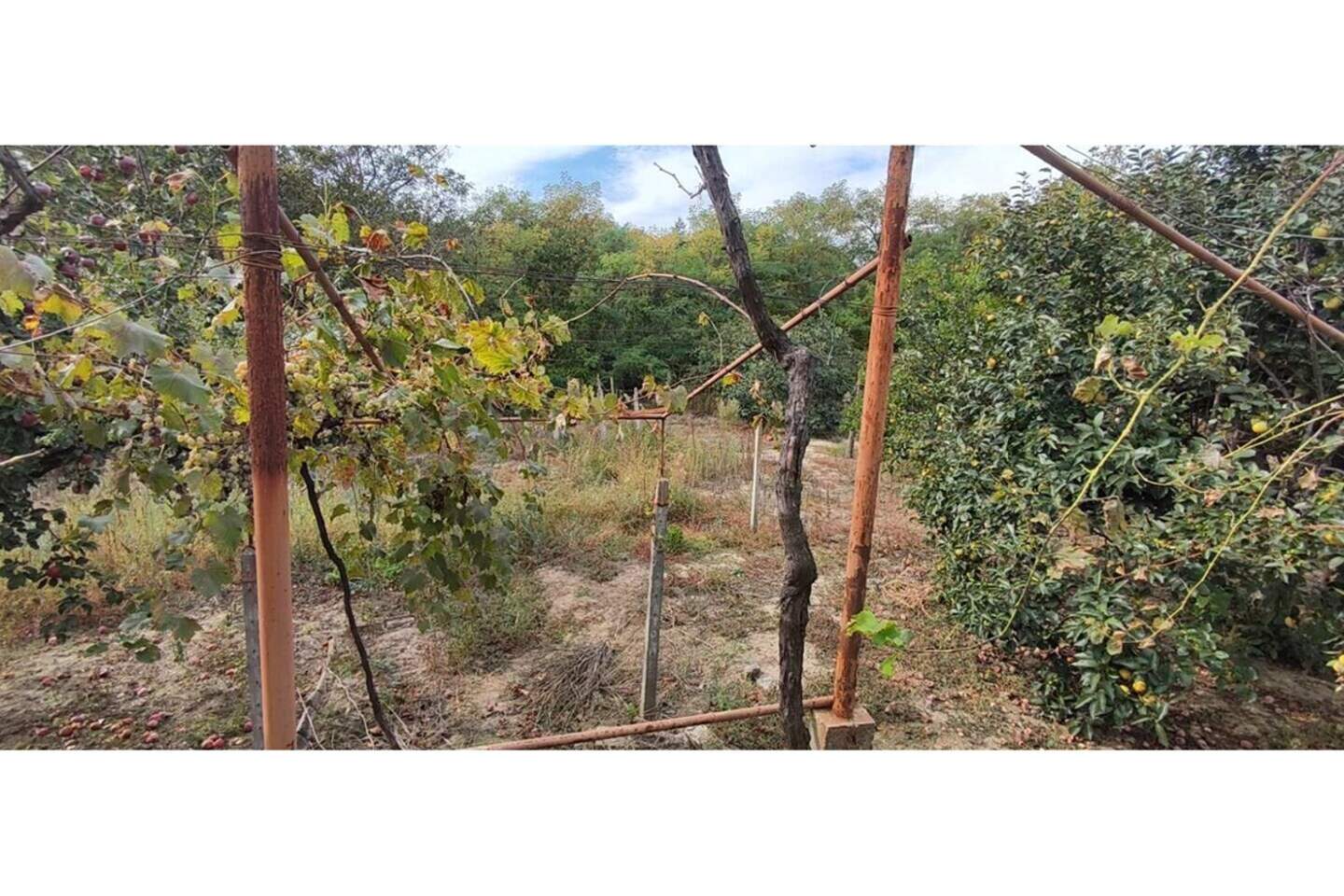 For Construction in Sveti Nikola, Varna – photo 4