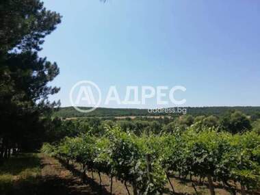 For sale - For Construction in General Kantardzhievo,  Varna