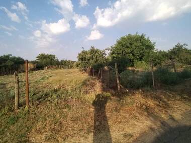 For sale - For Construction in Malina,  Dobrich