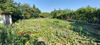 For sale - House in Liahovo,  Pazardjik