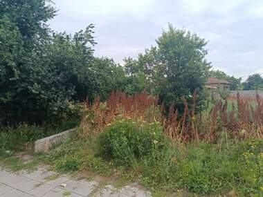 For sale - For Construction in Tarnicheni,  Stara Zagora