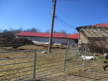 Vânzare - Spațiu industrial în Koșarna,  Ruse