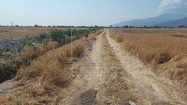 Πώληση - Οικόπεδο για κατασκευή σε Асеновградско шосе,  Пловдив