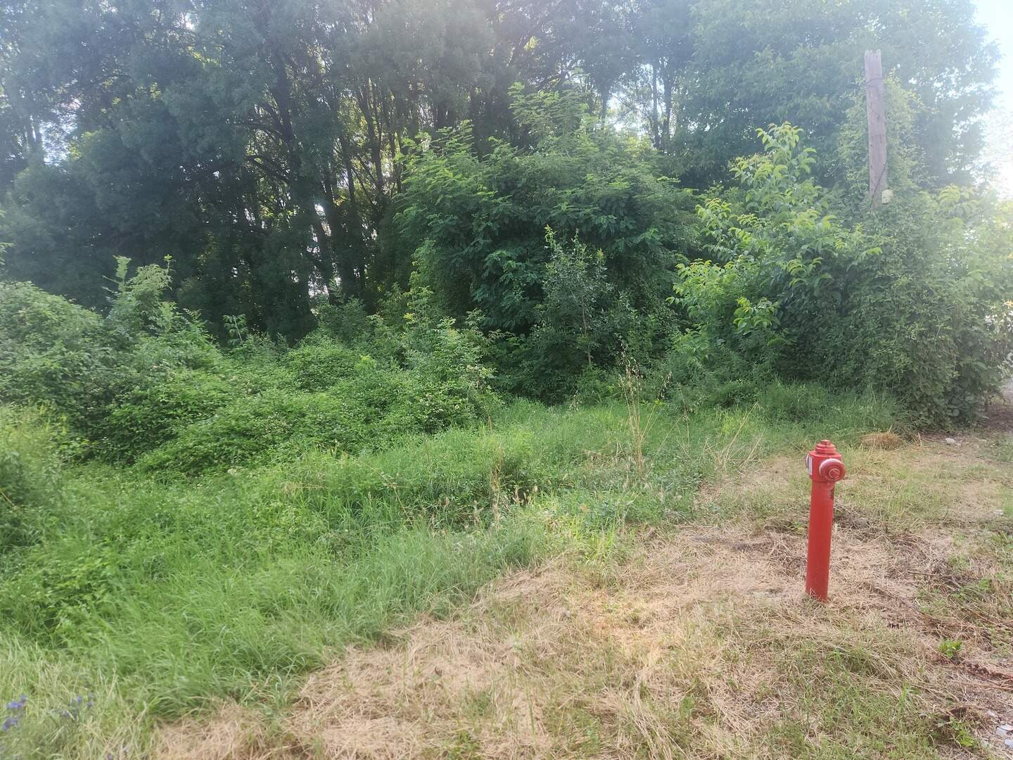 For Construction in Kaspichan, Shumen – photo 2