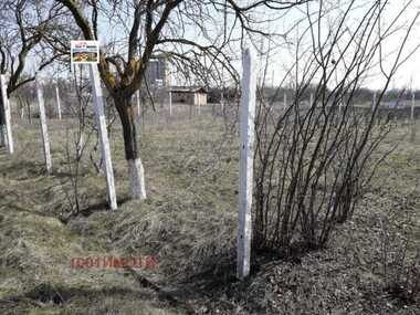 Vânzare - Teren de construcții în Balceik,  Dobrice