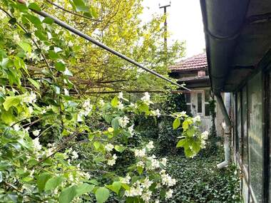 For sale - House in Bylgarevo,  Dobrich