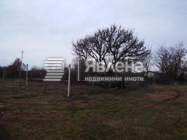 For sale - Agricultural land in Varvara,  Burgas