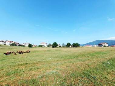 Satış - Tarım arsası olarak Velingrad,  Pazarcik