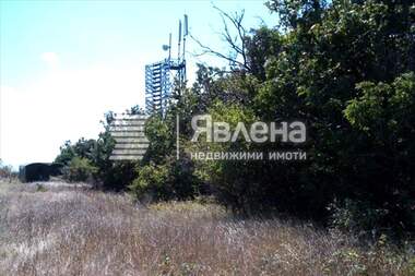 For sale - Agricultural land in Varvara,  Burgas