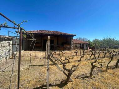 For sale - For Construction in Vinogradec,  Pazardjik