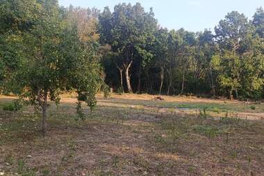 For sale - House in Suholoevtsi,  Gabrovo