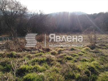 Verkauf - Landwirtschaftlich Grundstück in Balgari,  Burgas