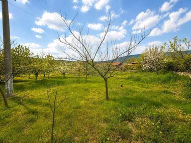 Satış - Endustriyel tesisler/Otoservizi/Depo yeri/Depo olarak Debrashtica,  Pazarcik