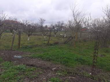 For sale - For Construction in Bezvoditsa,  Dobrich