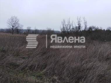 For sale - Agricultural land in Carevo,  Burgas