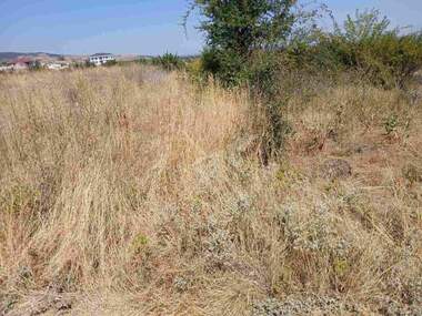 For sale - For Construction in Markovo,  Plovdiv