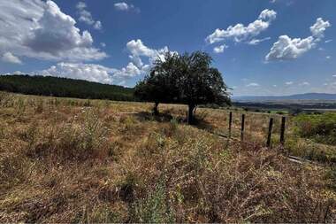 Satış - Tarım arsası olarak Cerovishte,  Targovishte