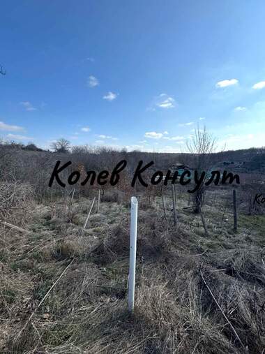 Vânzare - Teren agricol în Dimitrovgrad,  Haskovo