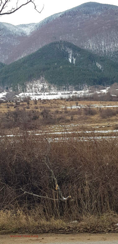 Verkauf - Baugrundstück in Saparewa Bania,  Küstendil