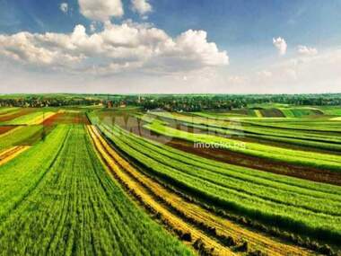 For sale - Agricultural land in Markovo,  Plovdiv