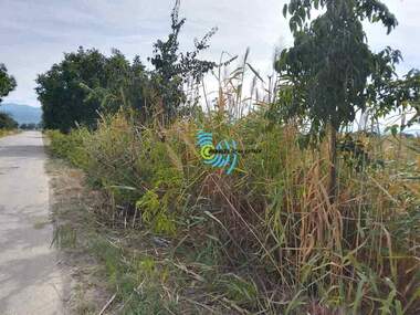 For sale - For Construction in Orizari,  Plovdiv
